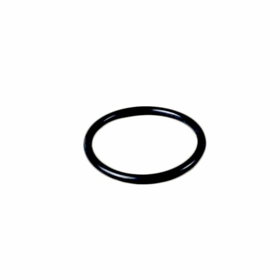 SEAL, AIR SHIFT O-RING