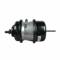 AIR CHAMBER WABCO 20/24 DISC BRAKES RH INTRAAX (PAN22)