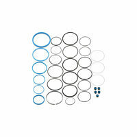 CUSTOM HOISTS PACKING/SEAL KITS