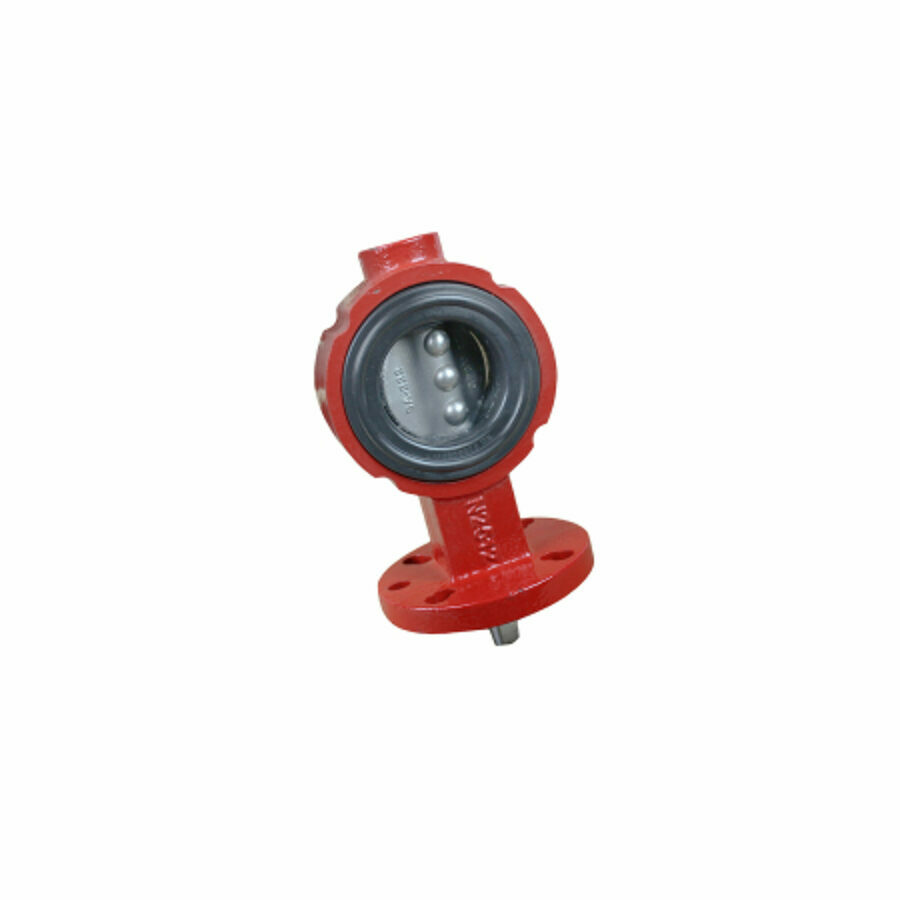 BUTTERFLY VALVE 2", CAST IRON, SS DISC, BLACK NITRILE