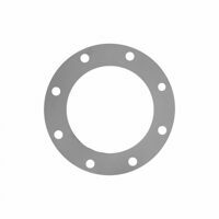 6" WHITE FOOD GRADE GASKET, 8 BOLT