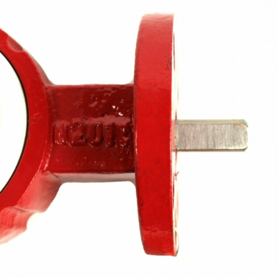 BUTTERFLY VALVE 2", IRON BODY, STAINLESS STEEL DISC, WHITE SEAT