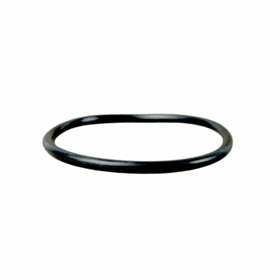 SEAL, AIR SHIFT O-RING