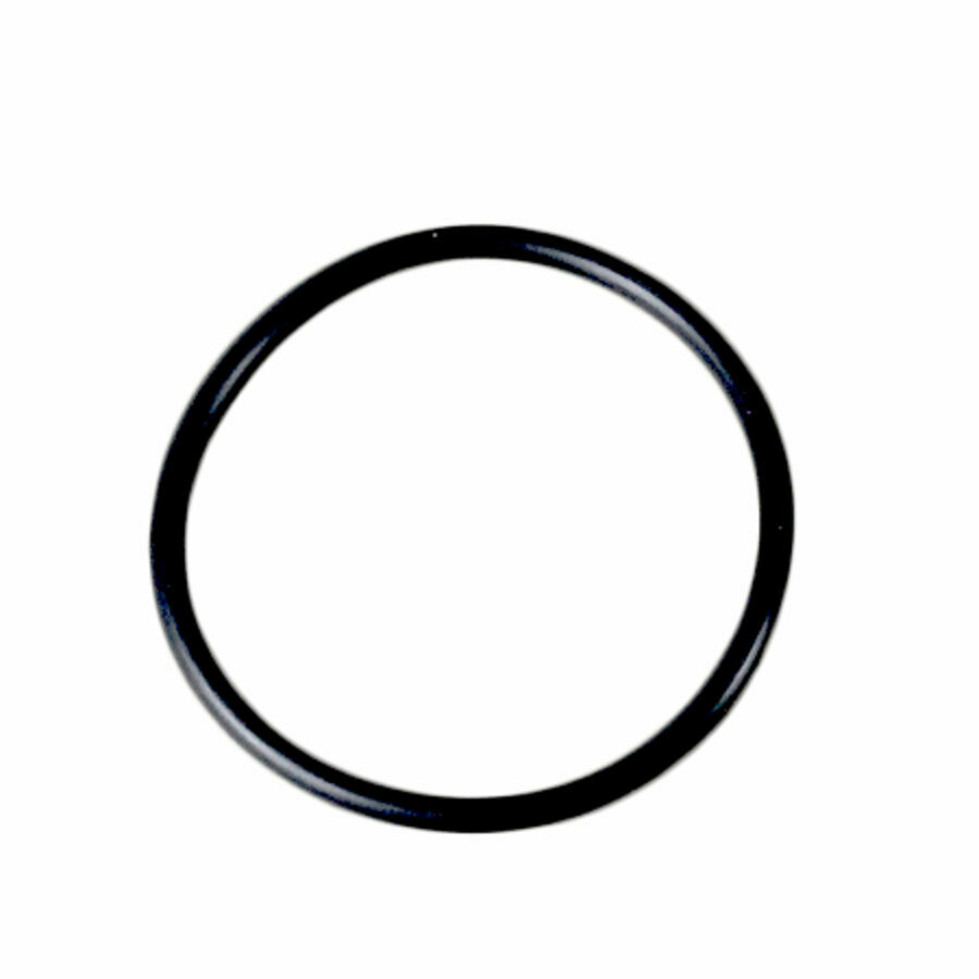 SEAL, AIR SHIFT O-RING