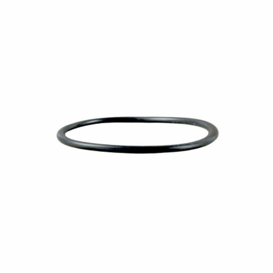 SEAL, AIR SHIFT O-RING