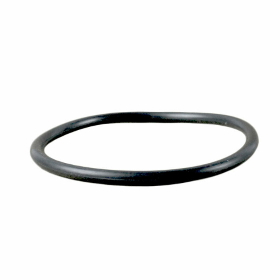 SEAL, AIR SHIFT O-RING