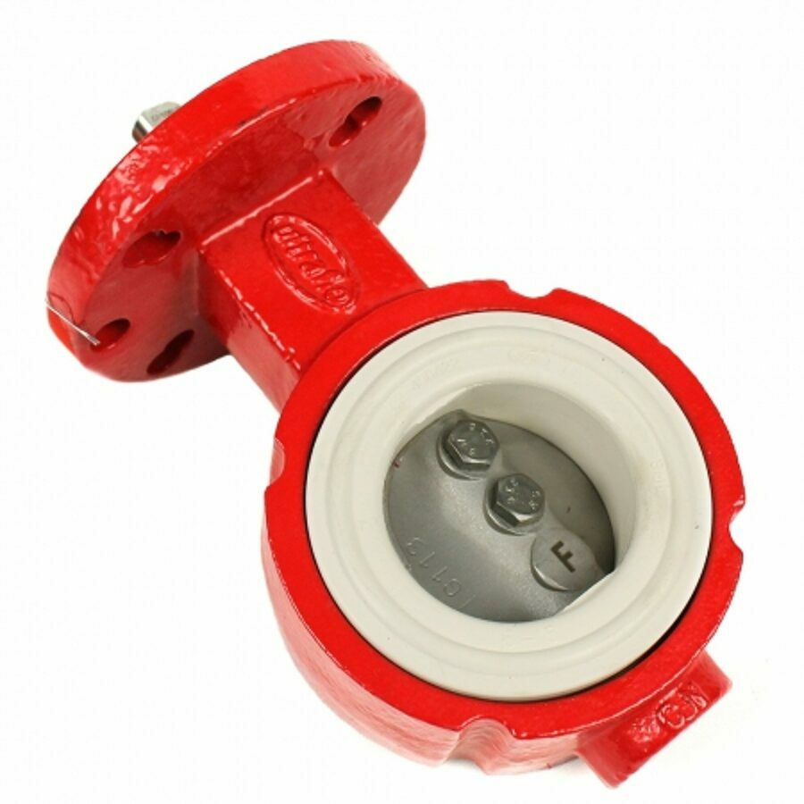 BUTTERFLY VALVE 2", IRON BODY, STAINLESS STEEL DISC, WHITE SEAT