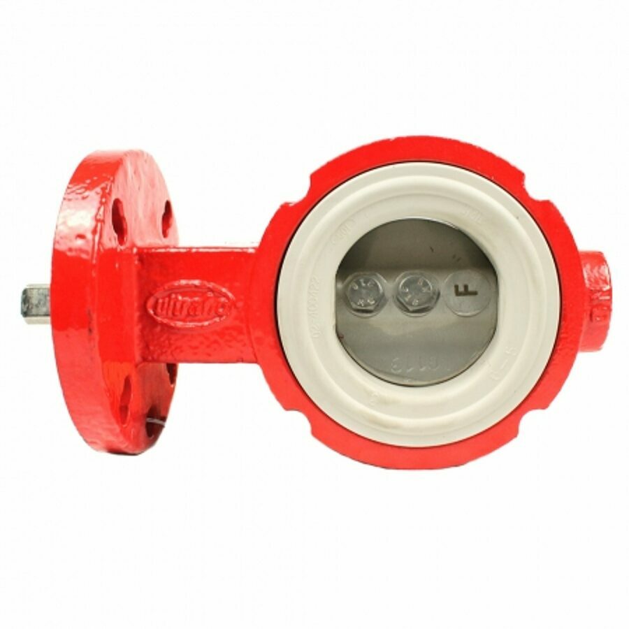 BUTTERFLY VALVE 2", IRON BODY, STAINLESS STEEL DISC, WHITE SEAT